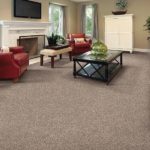 Reason to Select Wall to Wall Carpets