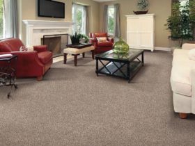Reason to Select Wall to Wall Carpets
