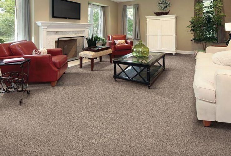 Reason to Select Wall to Wall Carpets
