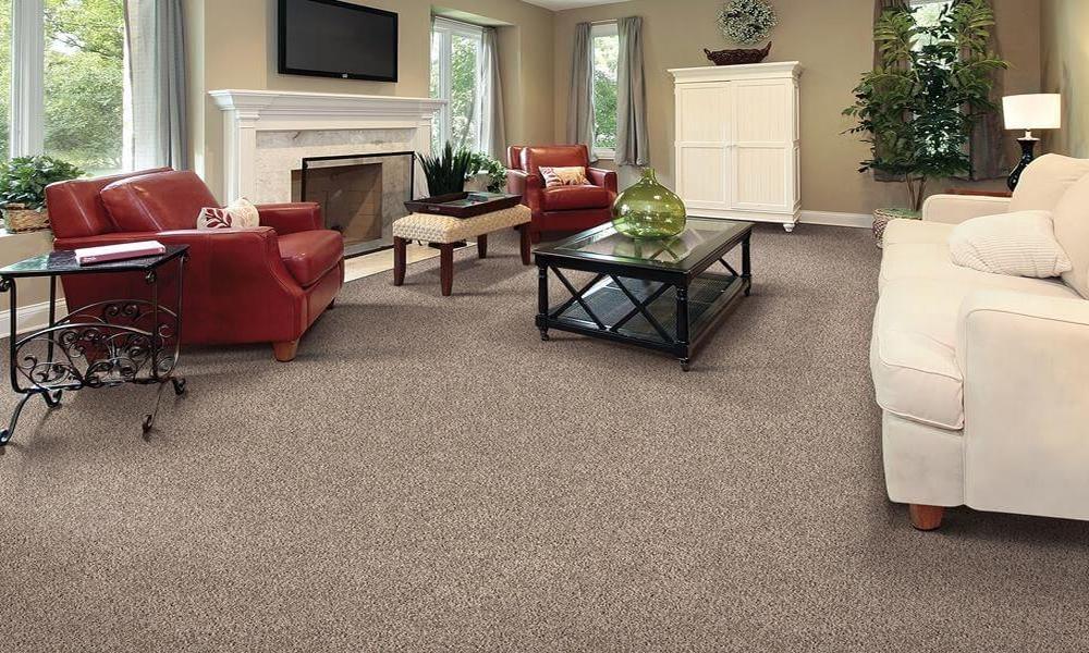 Reason to Select Wall to Wall Carpets