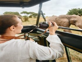 Africa Tour