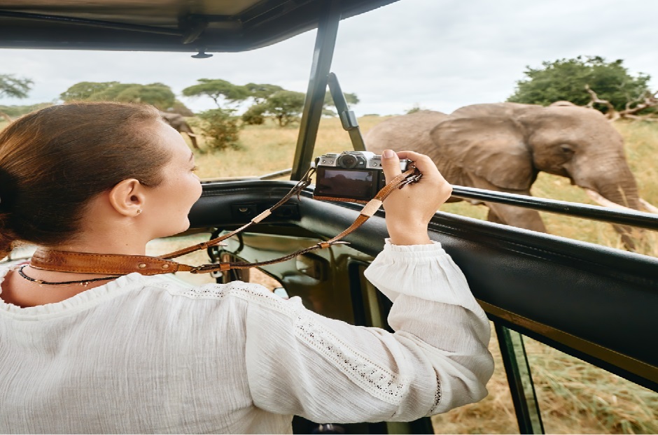 Africa Tour