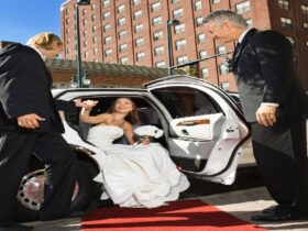 Limousine Transport