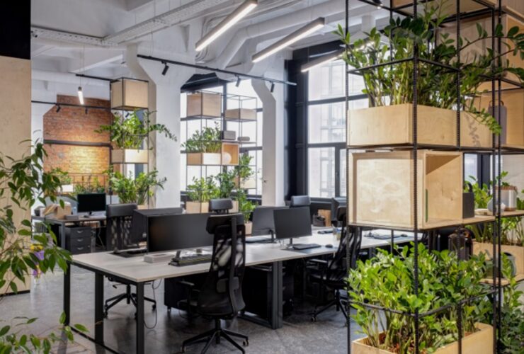 Sustainability Certification