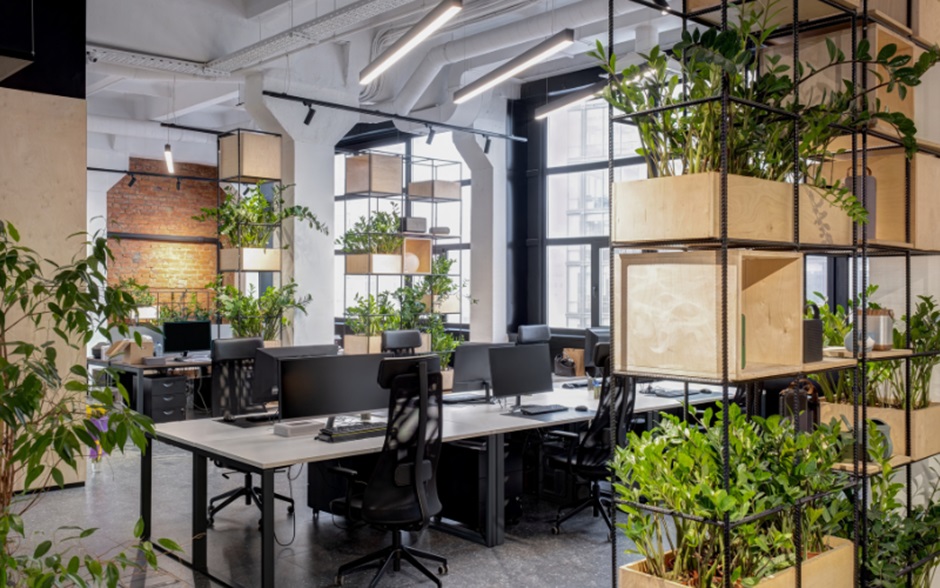 Sustainability Certification