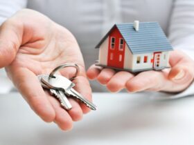 Real Estate Market